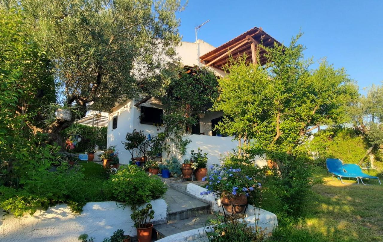 Sonia'S House With Garden Villa Jerakiní Kültér fotó