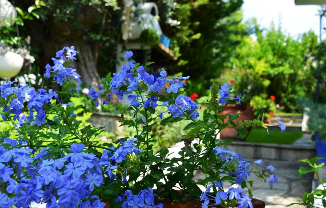 Sonia'S House With Garden Villa Jerakiní Kültér fotó